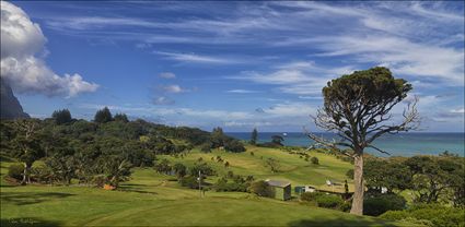 Lord Howe Island Golf Course - NSW T (PBH4 00 11797)